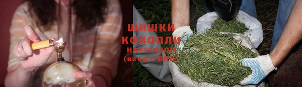 шишки Зеленокумск