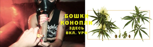 шишки Зеленокумск