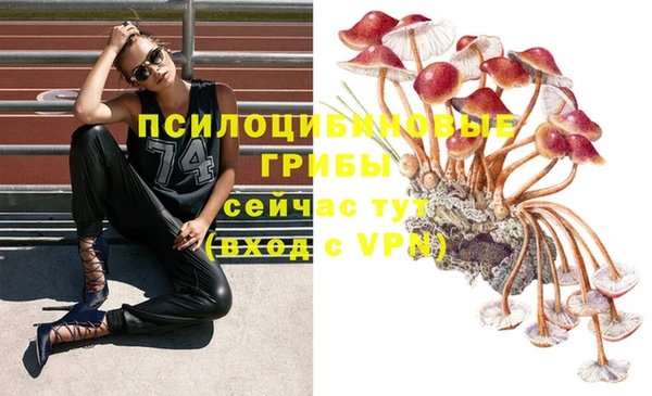 наркотики Заводоуковск