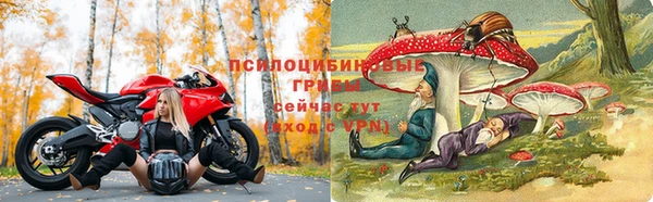 шишки Зеленокумск