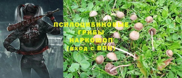 синтетический гашиш Зеленодольск